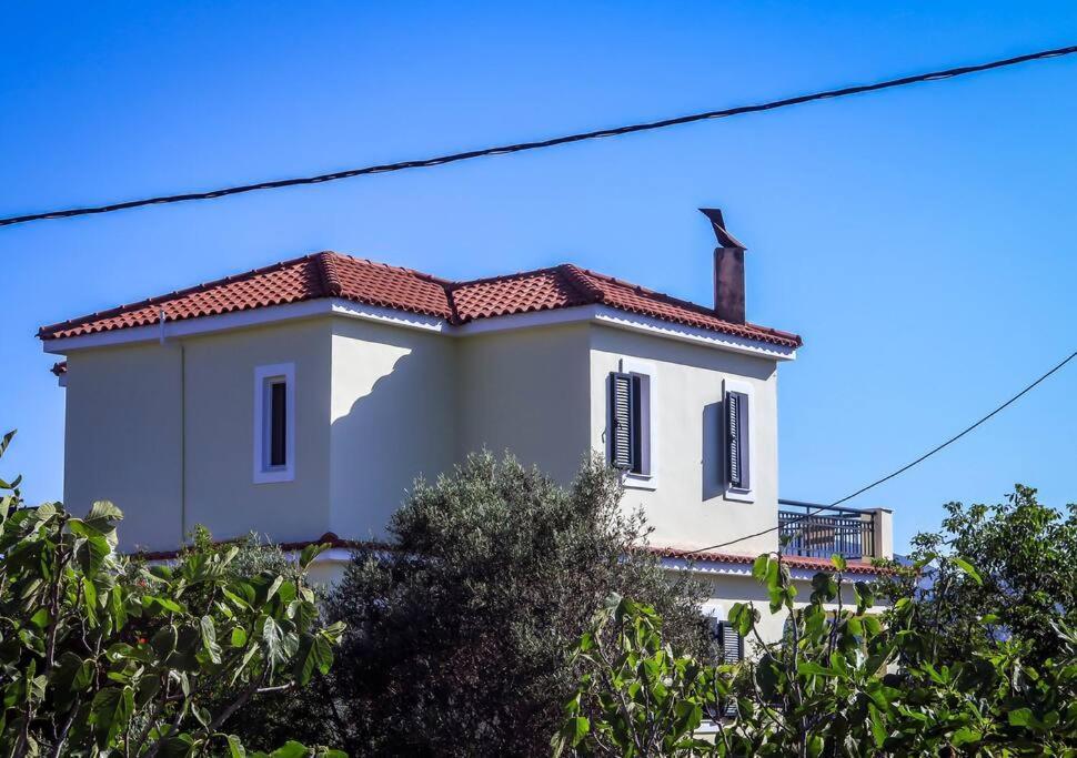 Villa Rania: Ευάερη Βίλα Με Θέα Τη Θάλασσα Lixouri Exterior foto
