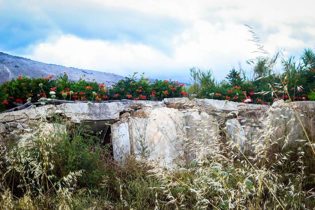Villa Rania: Ευάερη Βίλα Με Θέα Τη Θάλασσα Lixouri Exterior foto