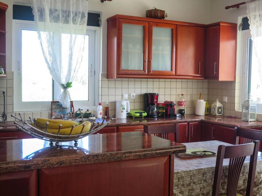 Villa Rania: Ευάερη Βίλα Με Θέα Τη Θάλασσα Lixouri Exterior foto